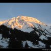 20070305_062